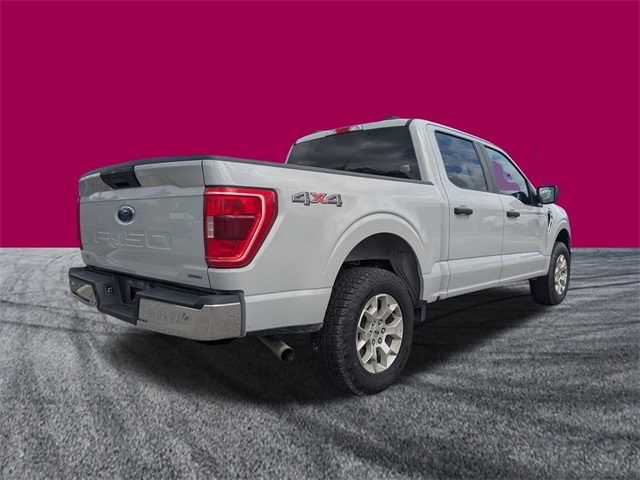 2023 Ford F-150 XLT photo 3