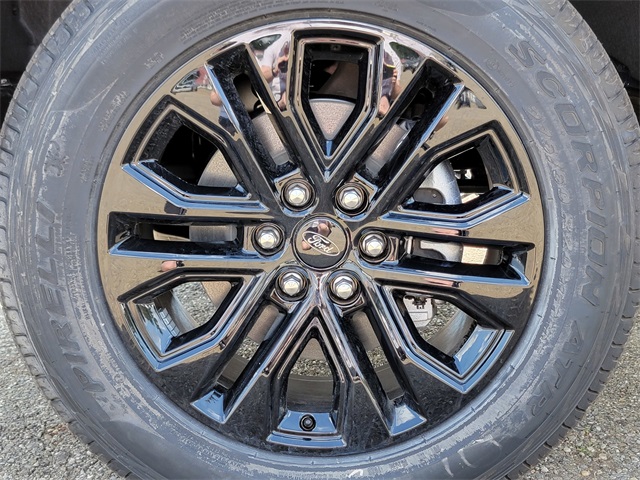 2025 Ford F-150 XLT photo 11