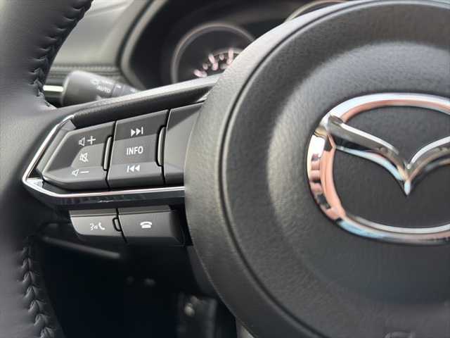 2025 Mazda CX-5 2.5 S Preferred photo 20