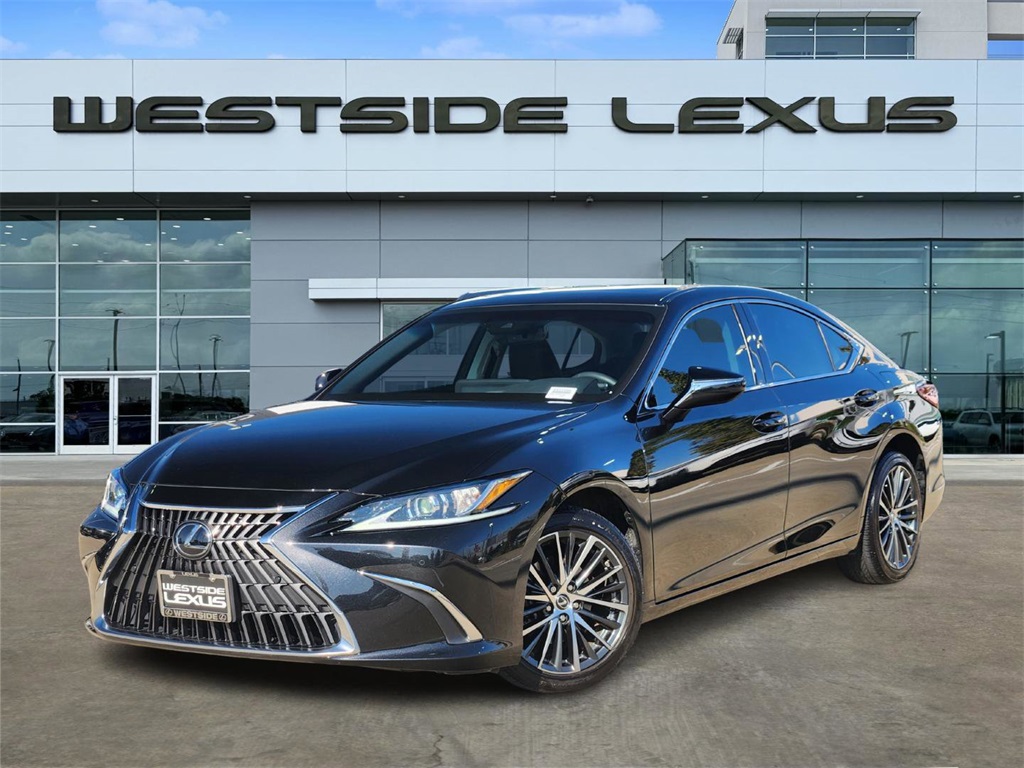 2023 Lexus ES 250's photo