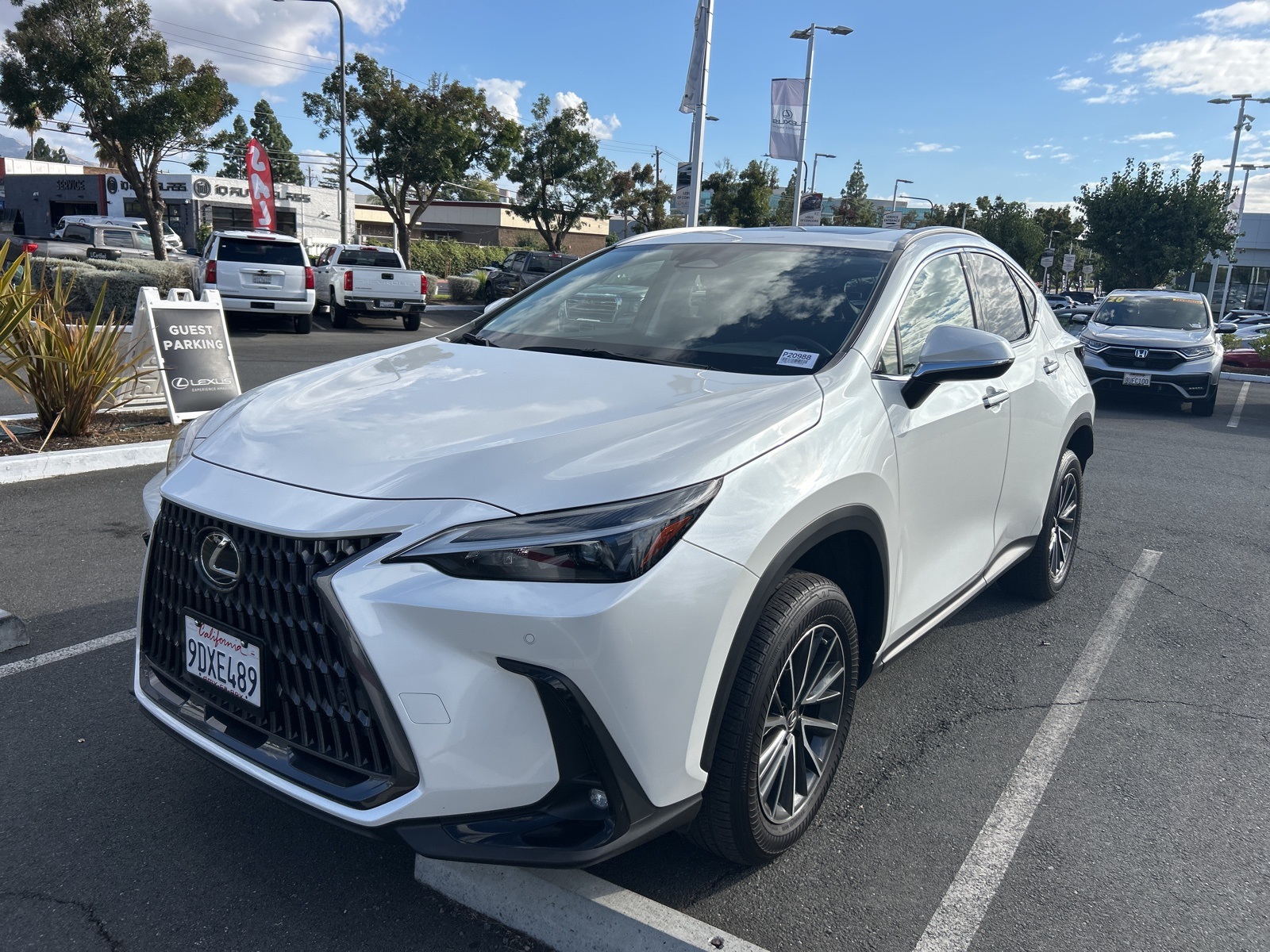 2023 Lexus NX 350h Premium photo 3