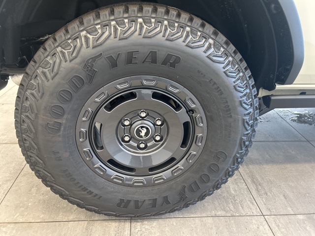 2025 Ford Bronco Badlands photo 6