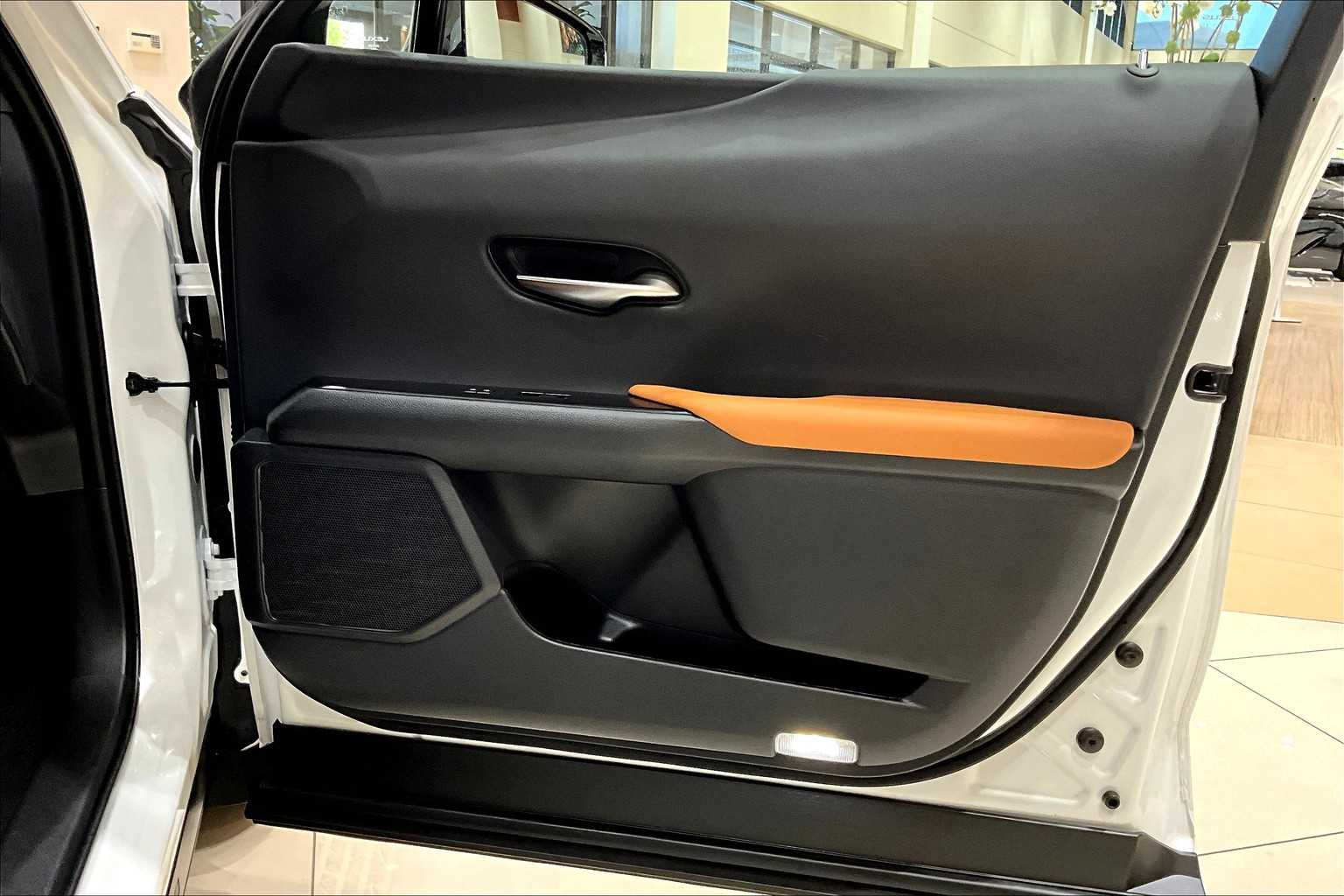 2022 Lexus UX 200 photo 20