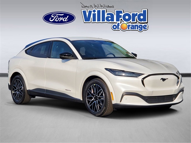 2025 Ford Mustang Mach-E Premium RWD's photo