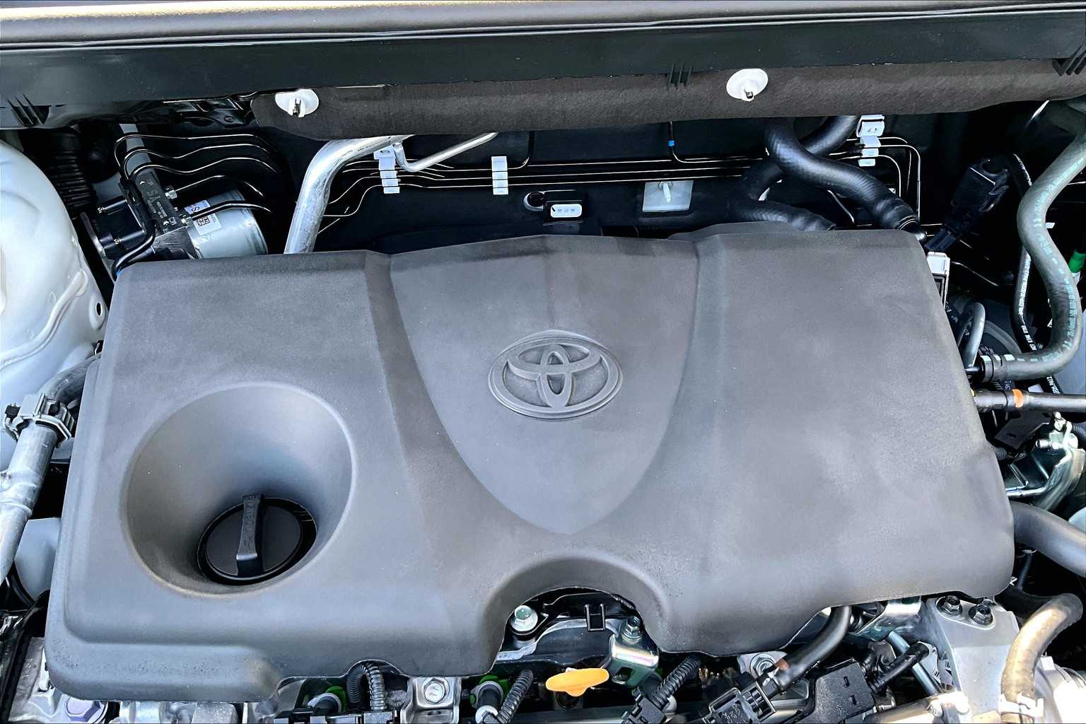 2025 Toyota RAV4 XLE photo 15