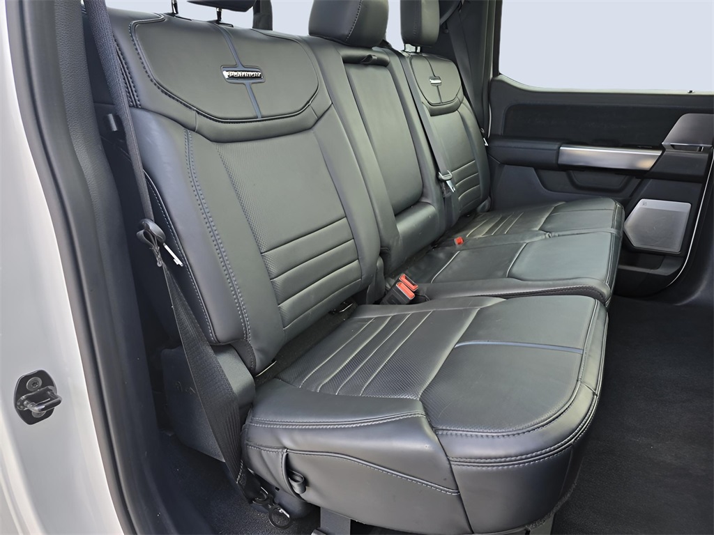2024 Ford F-150 Platinum photo 24
