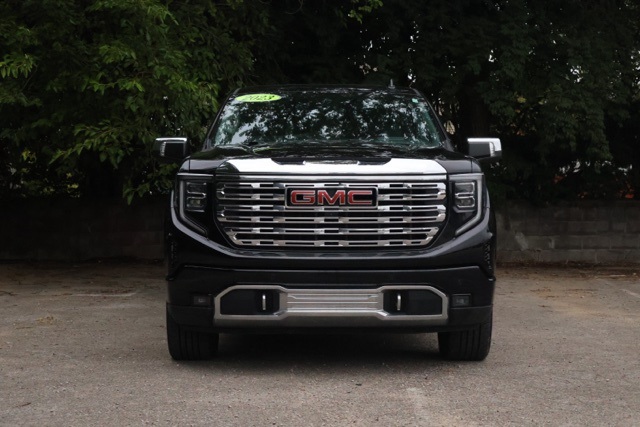 2023 Gmc Sierra 1500 Denali photo 2