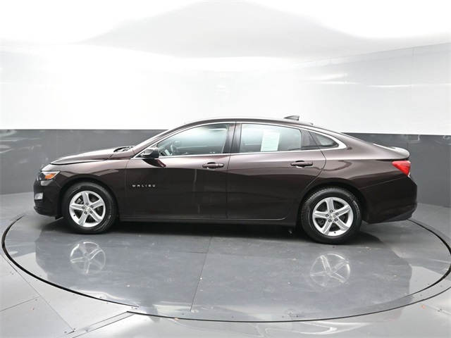 2021 Chevrolet Malibu LS photo 3