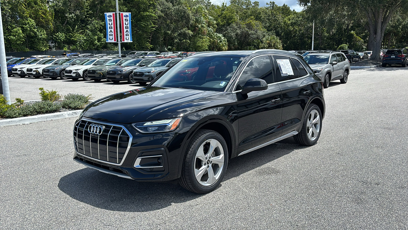 2021 Audi Q5 Premium Plus 45 TFSI photo 3