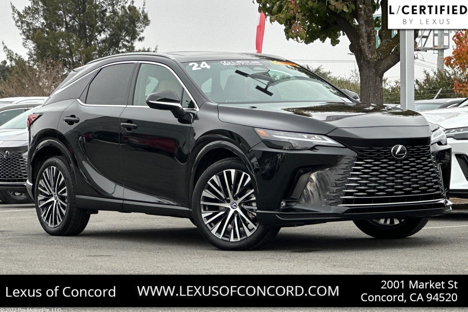 2024 Lexus RX Hybrid 350h's photo