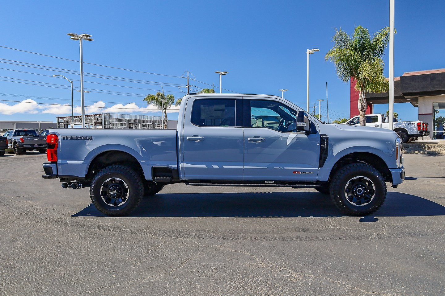 2025 Ford F-250 Platinum photo 3