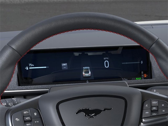 2025 Ford Mustang Mach-E Premium photo 12