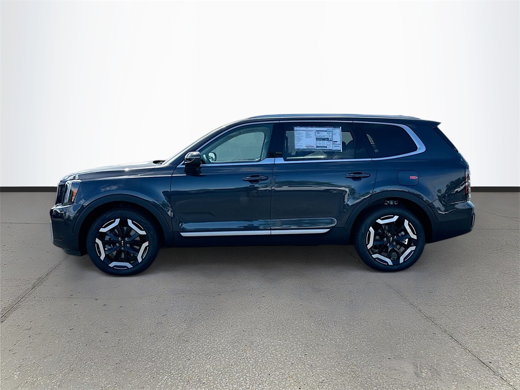 2025 Kia Telluride EX photo 4
