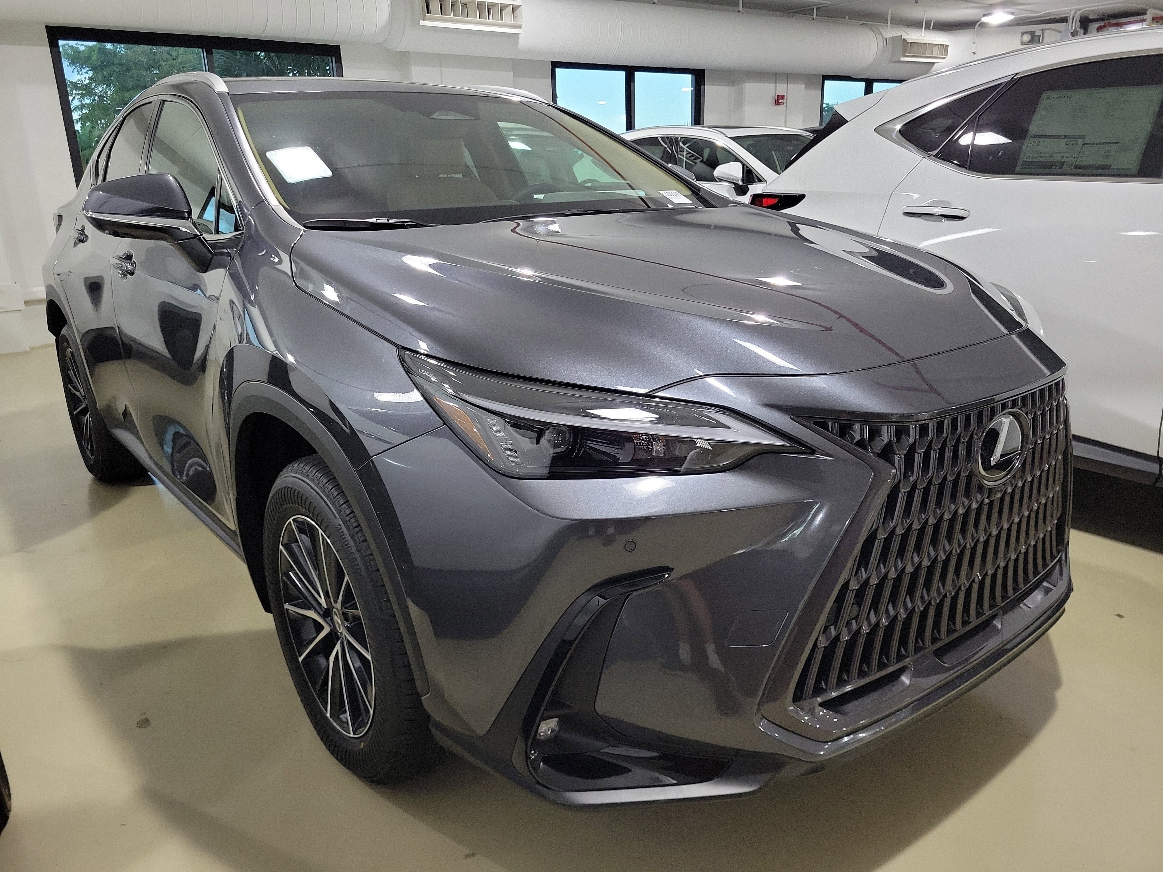 2026 Lexus NX 350's photo