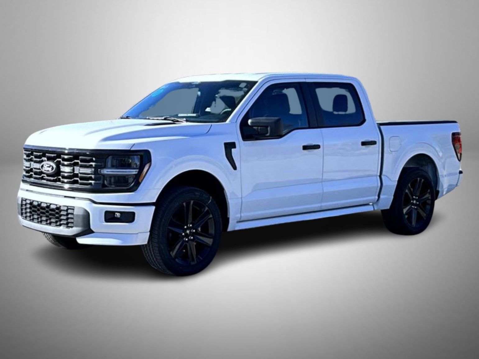 2025 Ford F-150 STX's photo