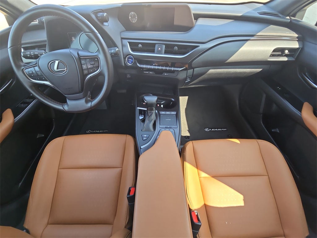 2022 Lexus UX 250h photo 30