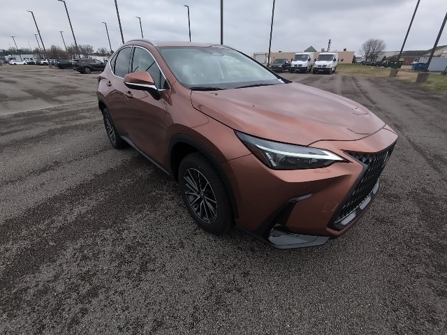 2025 Lexus NX 350's photo