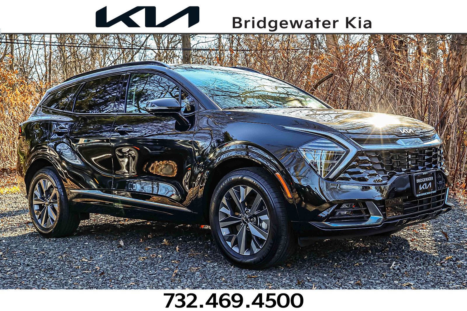 2025 Kia Sportage SX Prestige Hybrid's photo