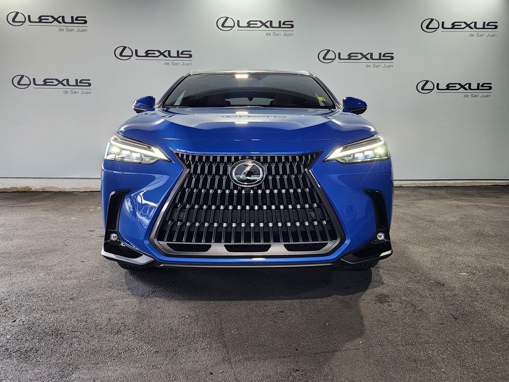 2025 Lexus NX 450h+ Luxury photo 6