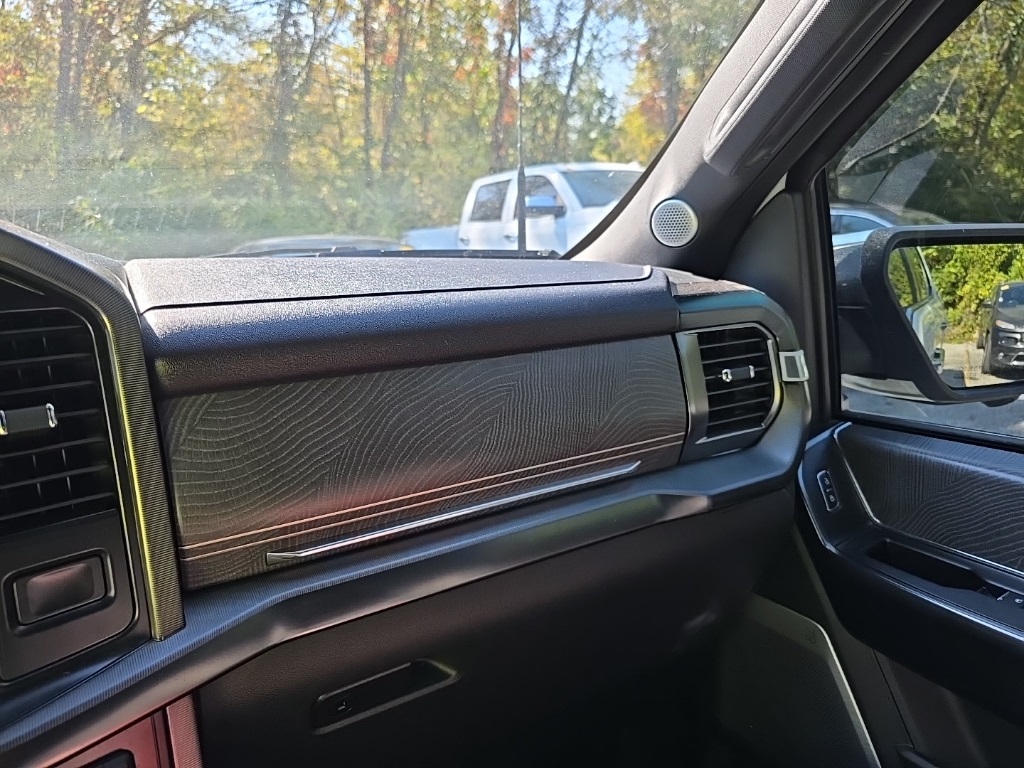 2023 Ford F-150 Platinum photo 24