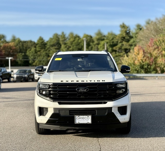 2025 Ford Expedition MAX Platinum photo 10