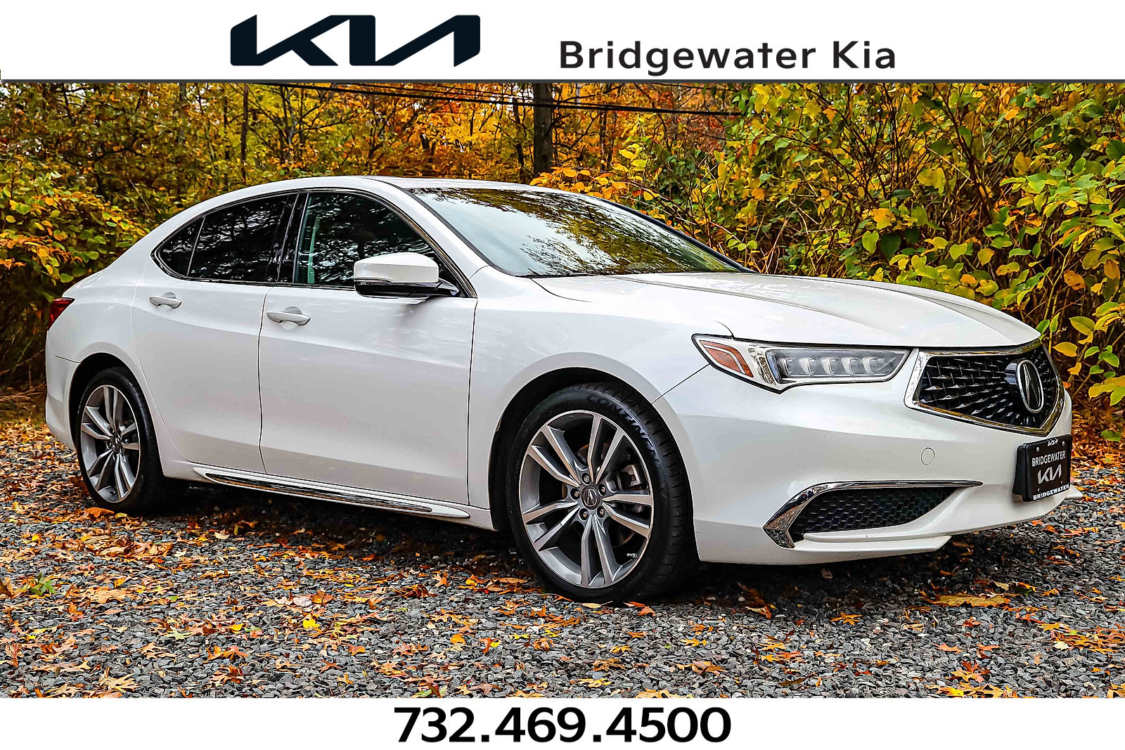 2019 Acura TLX Technology Package's photo