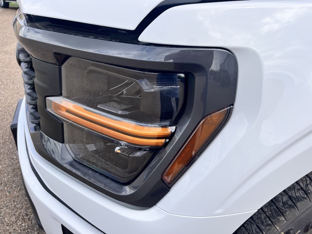2025 Ford F-150 STX photo 8