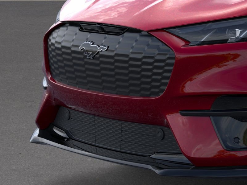 2025 Ford Mustang Mach-E GT photo 15