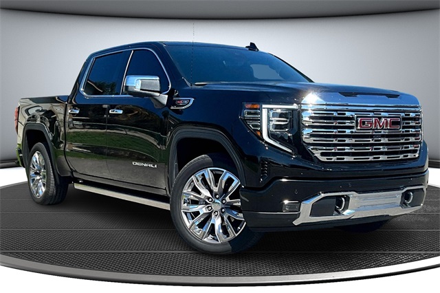2024 Gmc Sierra 1500 Denali photo 3