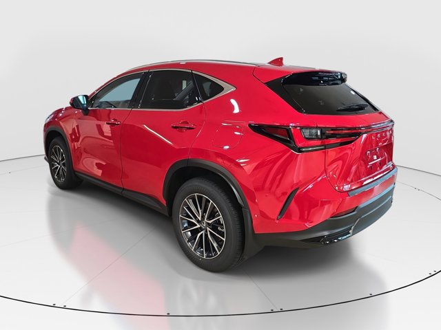 2025 Lexus NX 350h Luxury AWD photo 11