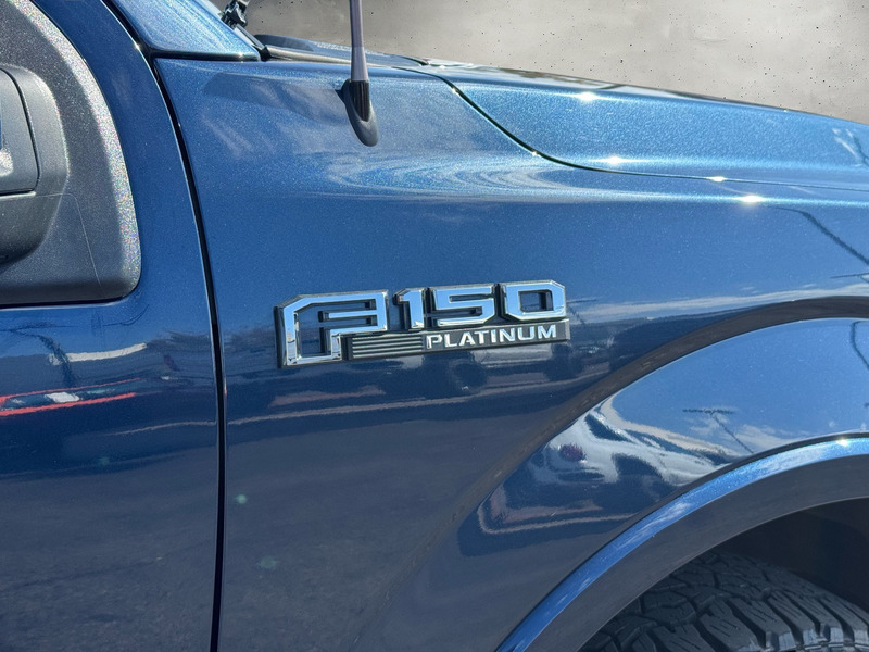2020 Ford F-150 Platinum photo 5
