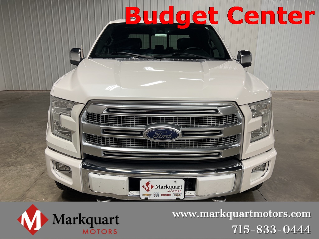 2015 Ford F-150 Platinum photo 3