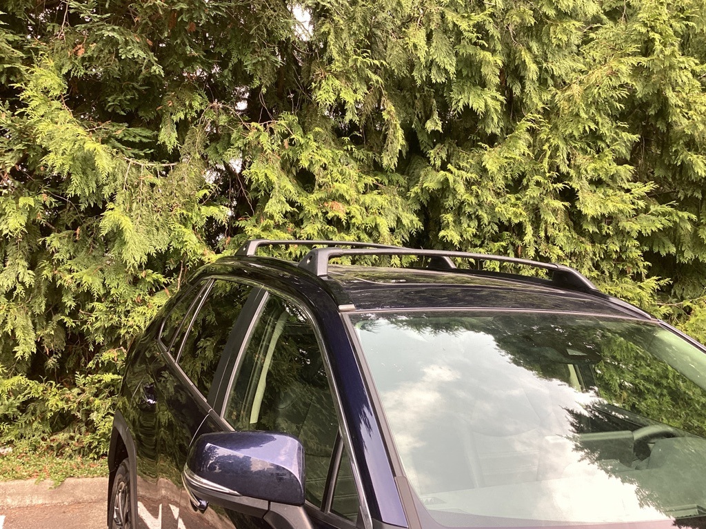 2024 Toyota RAV4 Hybrid Limited photo 14