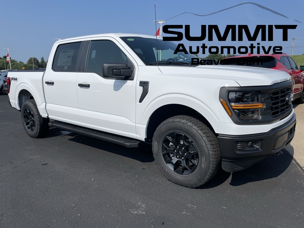 2025 Ford F-150 STX's photo