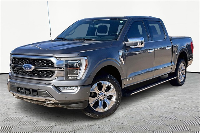 2021 Ford F-150 Platinum's photo