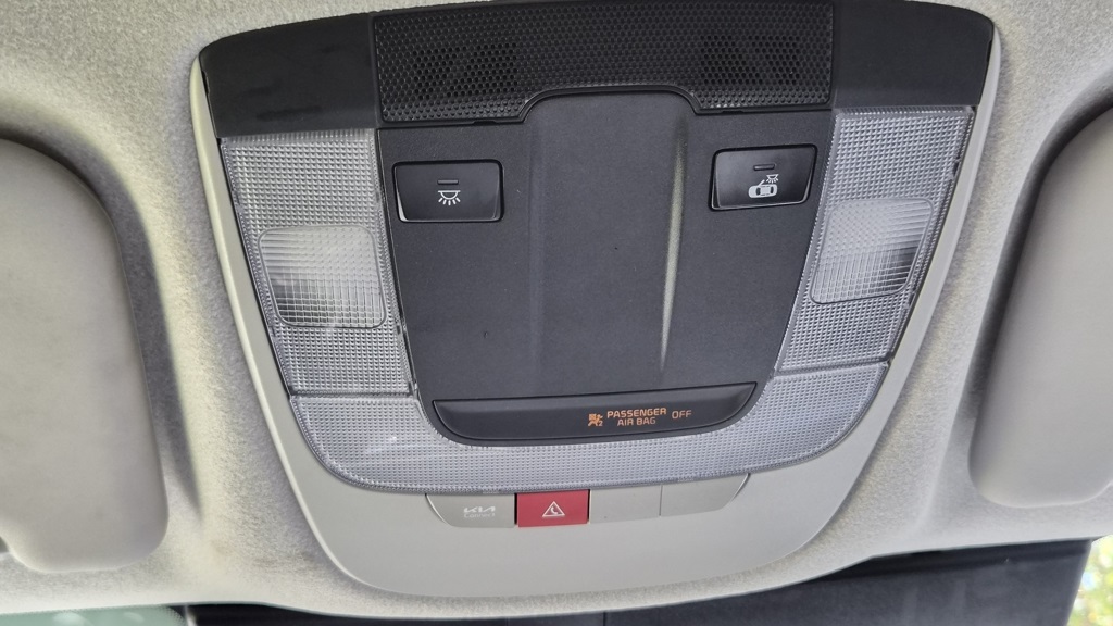 2023 Kia Niro EV Wind photo 30
