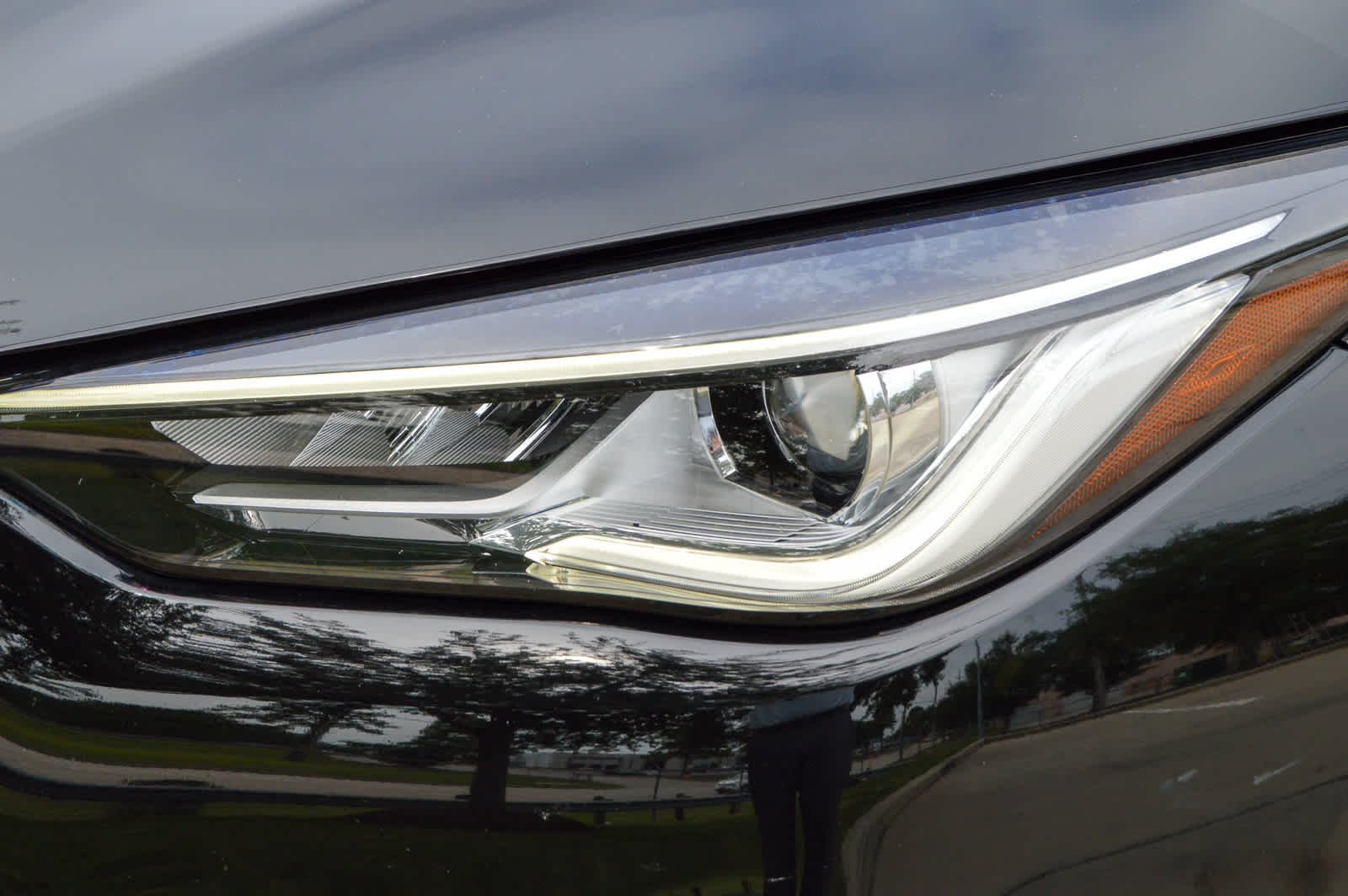 2022 Infiniti QX50 Essential photo 5