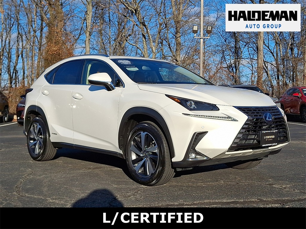 2019 Lexus NX Hybrid 300h's photo