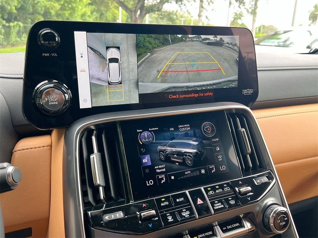 2025 Lexus LX Luxury photo 12
