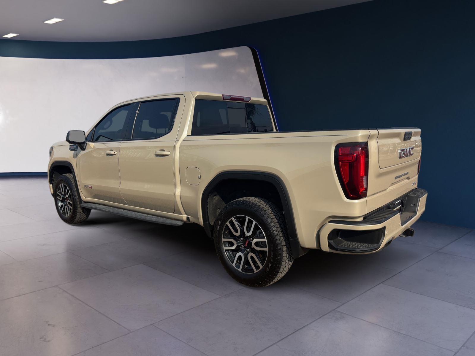 2023 Gmc Sierra 1500 AT4 photo 3