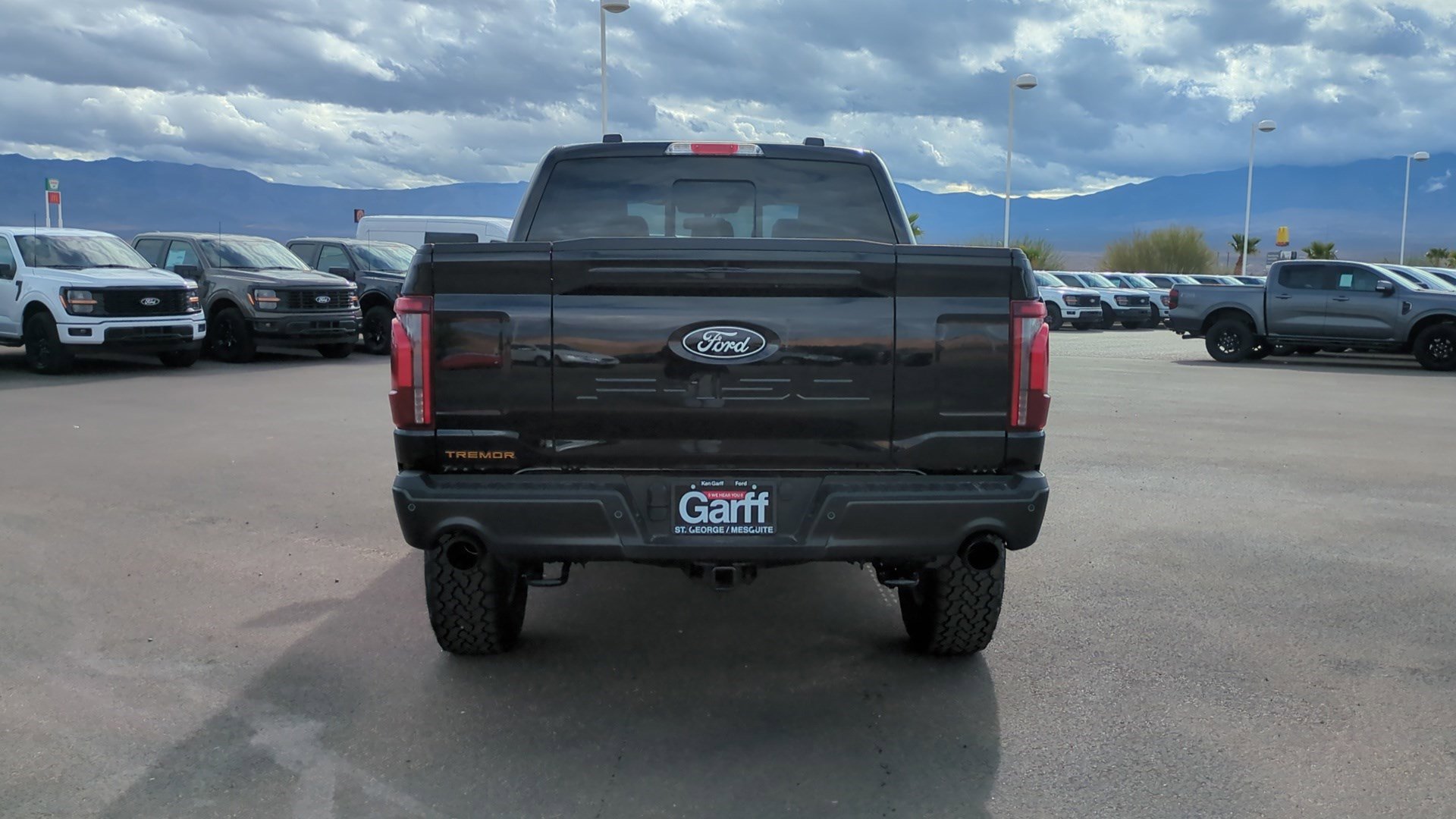 2025 Ford F-150 Tremor photo 4