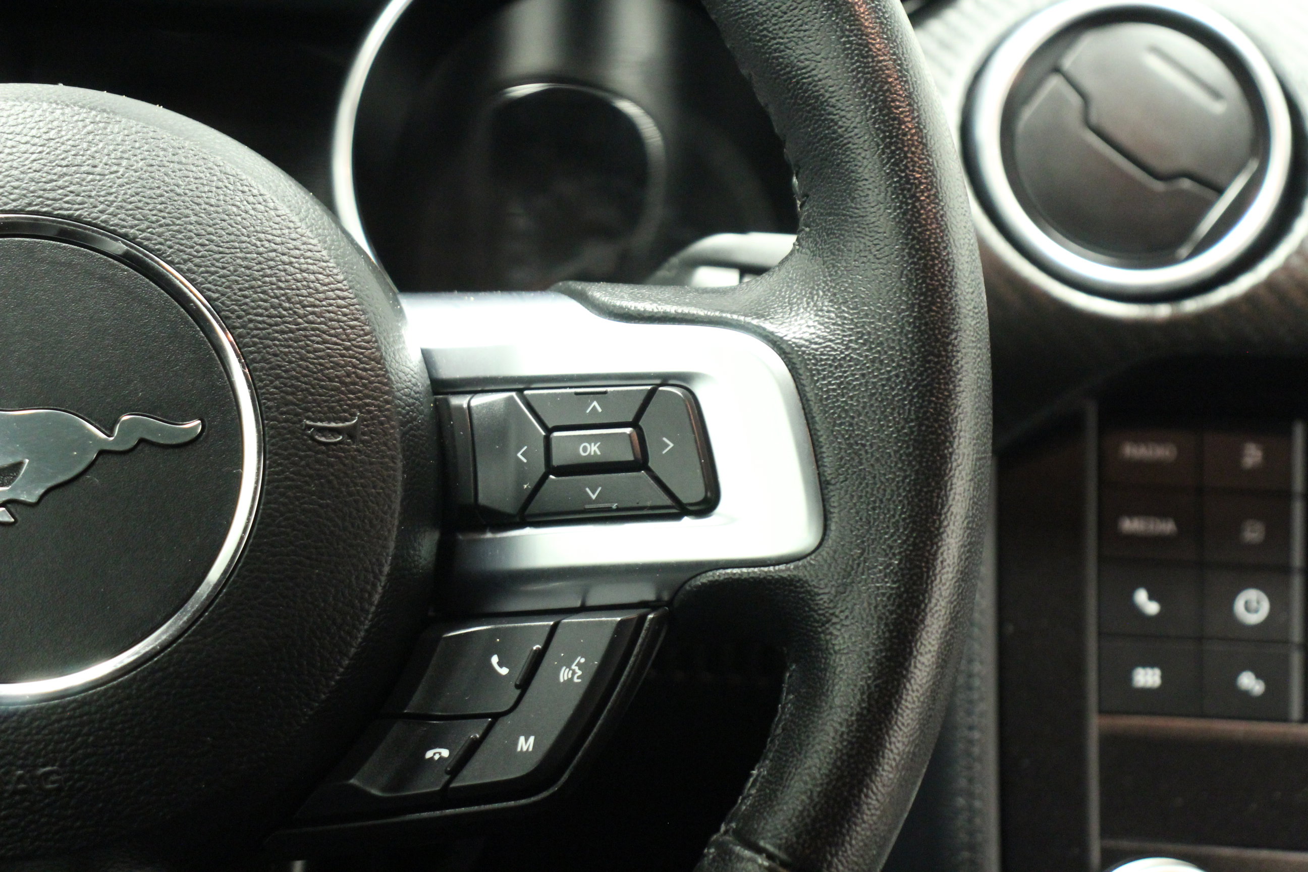 2022 Ford Mustang EcoBoost photo 19