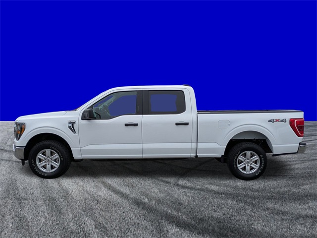 2023 Ford F-150 XLT photo 7