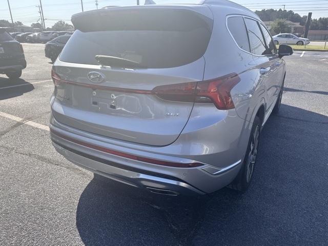 2023 Hyundai Santa Fe Calligraphy photo 5
