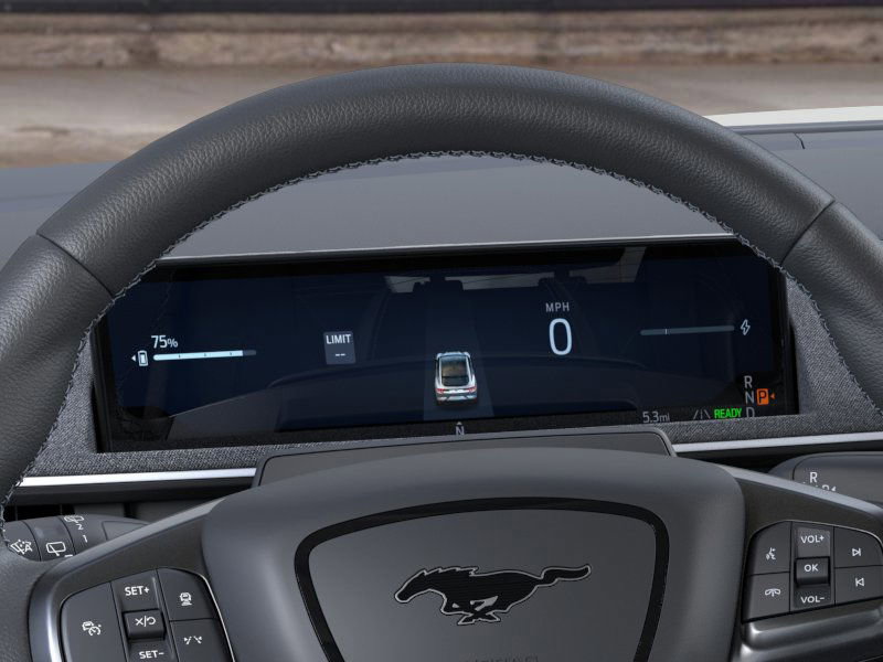 2025 Ford Mustang Mach-E GT photo 12
