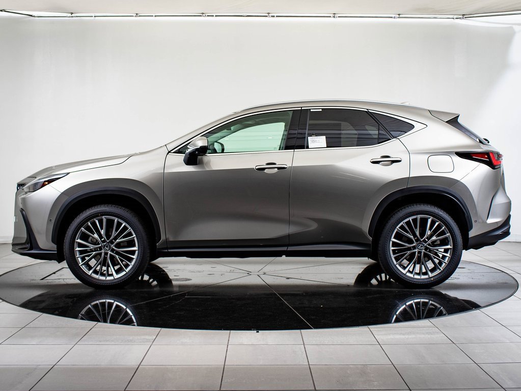 2026 Lexus NX 350 Luxury photo 12