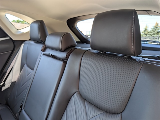 2024 Lexus NX 450h+ Luxury photo 14