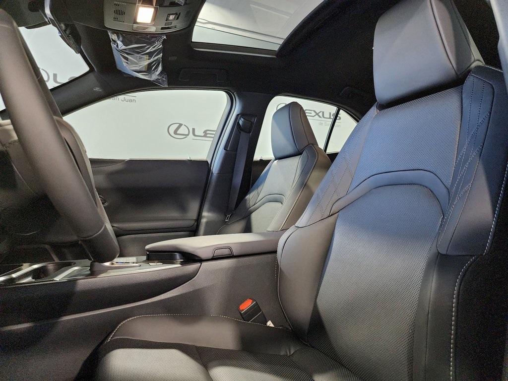 2025 Lexus UX photo 15