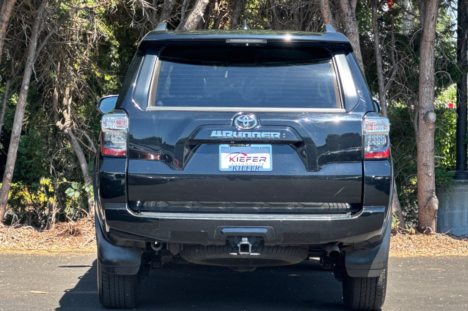 2024 Toyota 4Runner SR5 Premium photo 4