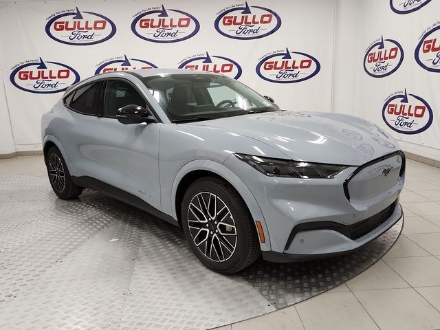 【COLOR iN ID】bizo eco fur mustang New Ford Mustang Mach-E for Sale in Conroe, TX